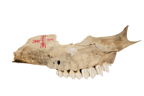 Image of painted bone talismans