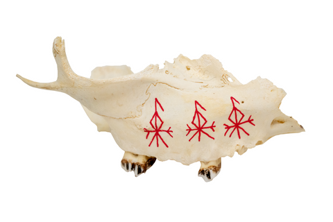 Image of painted bone talismans