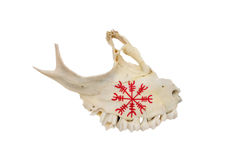 Image of painted bone talismans