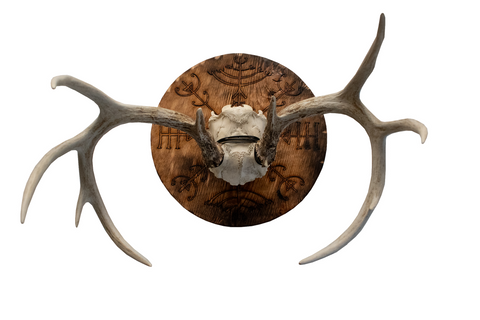 Image of Veldismagn euro mount