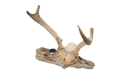 Image of antler driftwood tealight candle holder