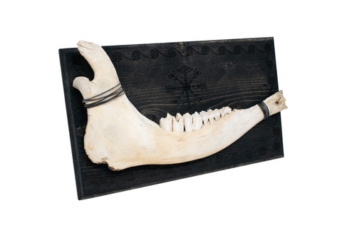 Image of veldismagn elk jawbone hanger