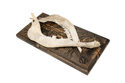 Image of vegvisir & helm of awe double sheep jaw hanger