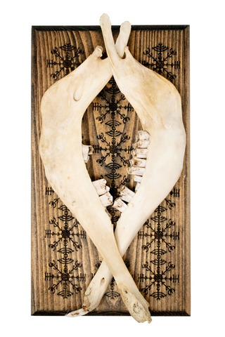 Image of veldismagn sheep jawbone hanger