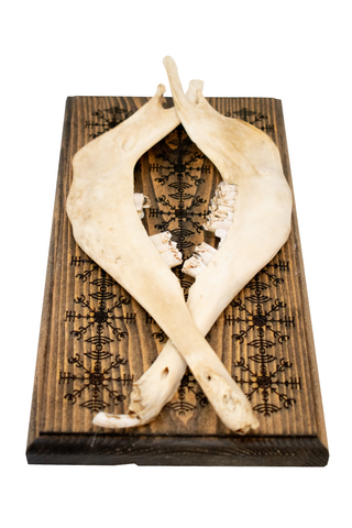Image of veldismagn sheep jawbone hanger