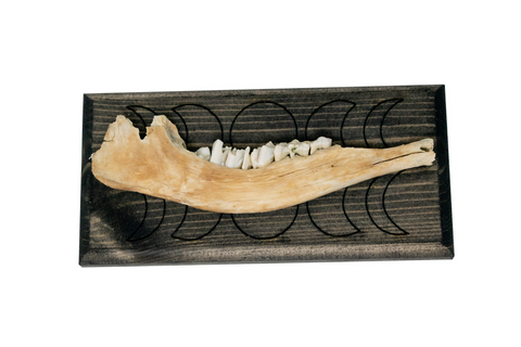 Image of norse symbols jawbone wall hanger