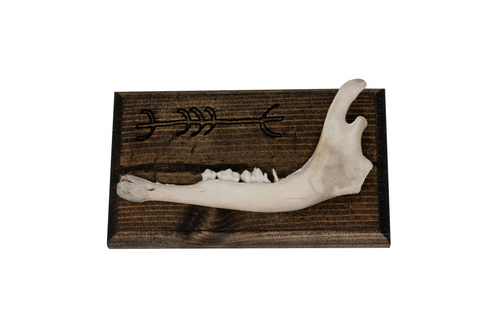 Image of norse symbols jawbone wall hanger