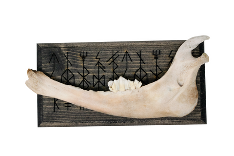 Image of norse symbols jawbone wall hanger