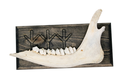 Image of norse symbols jawbone wall hanger