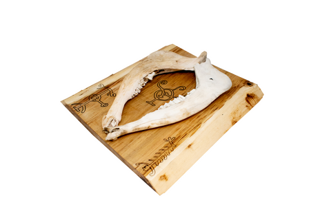 Image of Icelandic magical staves double elk jawbone hanger