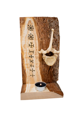 Image of 9 helms elk vertebra altar