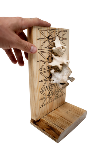 Image of Web of Wyrd and Deer Vertebra Live Edge Altar