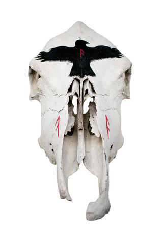 Image of Cow Skull with Ansuz Runes and Raven