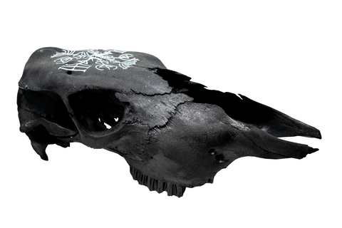 Image of Blackened Cow Skull with Veldismagn Stave