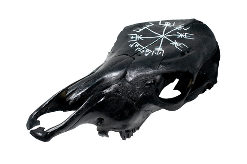 Image of Blackened Cow Skull with Vegvísir