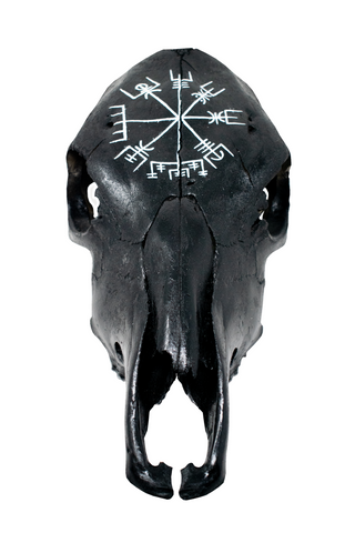 Image of Blackened Cow Skull with Vegvísir