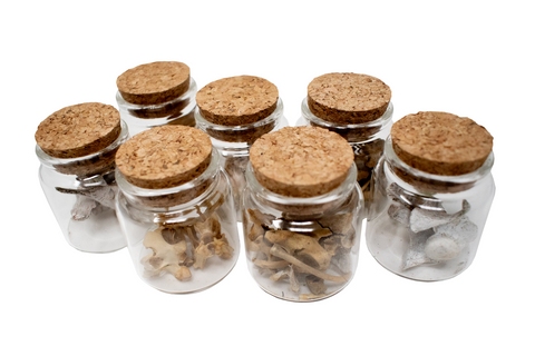 Image of jar of bones or teeth