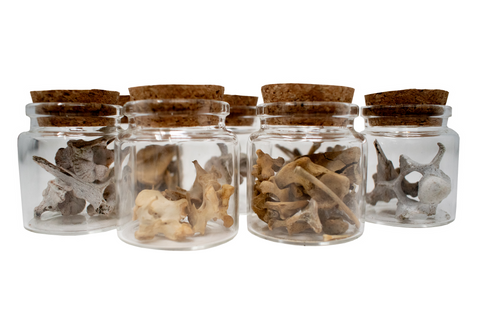 Image of jar of bones or teeth