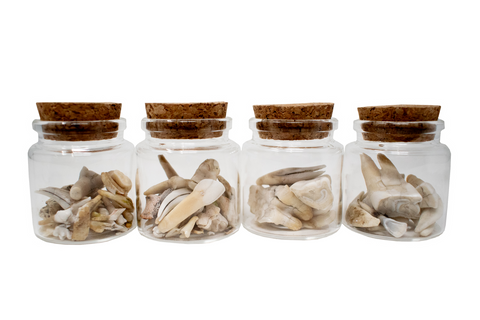 Image of jar of bones or teeth