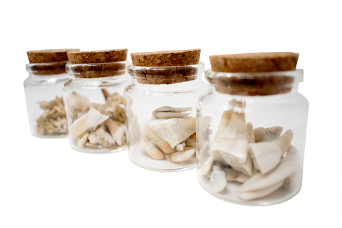 Image of jar of bones or teeth