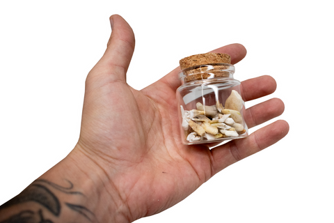 Image of jar of bones or teeth