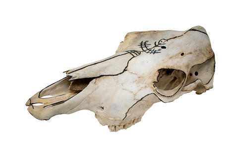 Image of Hand-Painted Cow Skull with Viking Ship Petroglyph
