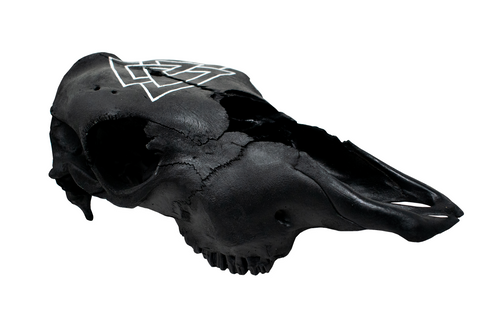 Image of Blackened Cow Skull with Hand Painted Valknut