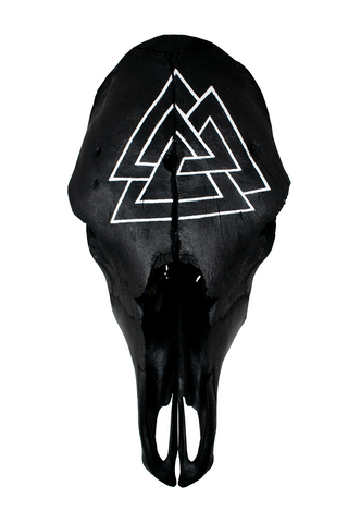 Image of Blackened Cow Skull with Hand Painted Valknut