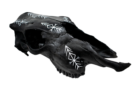 Image of Blackened Cow Skull with Home Protection Bindrune #2