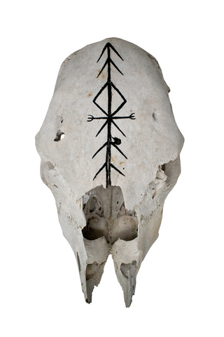 Image of Cow Skull with Home Protection Bindrune #5