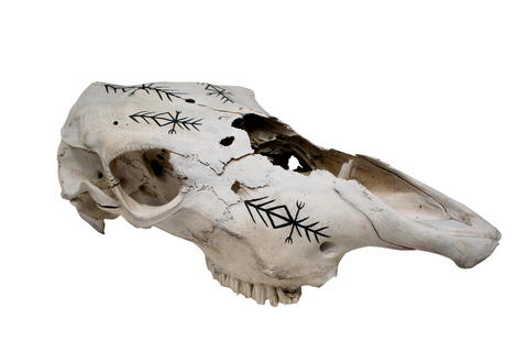 Image of Cow Skull with Home Protection Bindrune #6