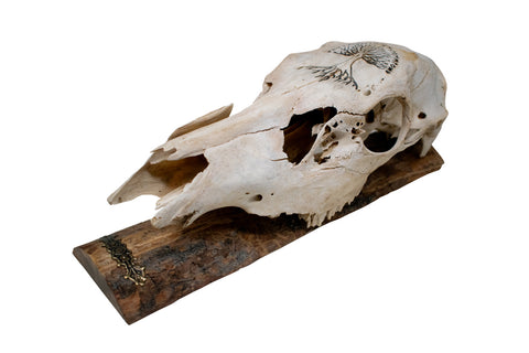 Image of Elk Skull Wall Hanger – Yggdrasil & Elder Futhark