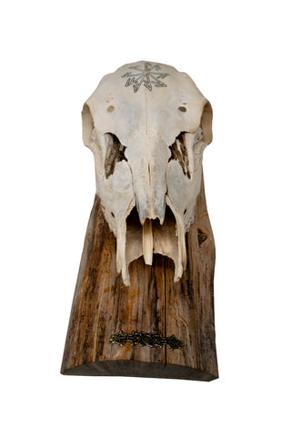 Image of Elk Skull Wall Hanger – Connection to the Gods Stave