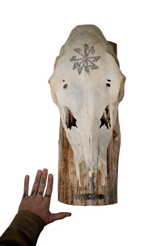 Image of Elk Skull Wall Hanger – Connection to the Gods Stave