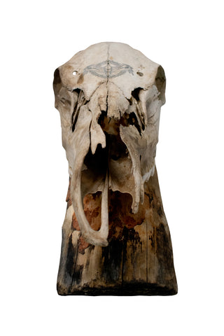 Image of Elk Skull Wall Hanger – Norse Raven Design