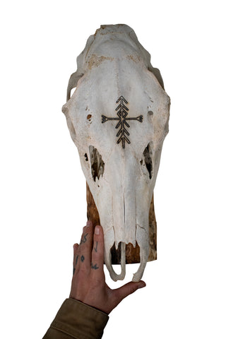 Image of Elk Skull Wall Hanger – Home Protection Bindrune
