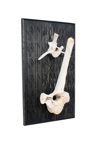 Image of Hail the Old Gods – Elk Vertebra Wall Hanger