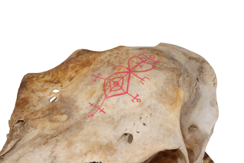 Image of Elk Skull Wall Hanger – Norse Love Stave