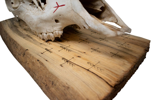 Image of Elk Skull Wall Hanger – Home Protection Bindrunes