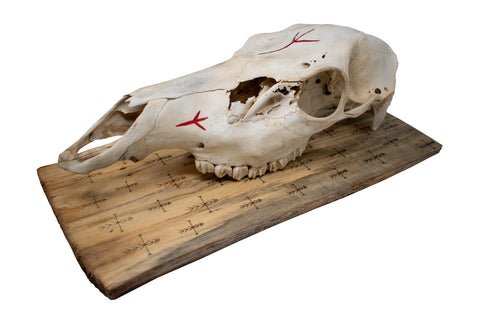 Image of Elk Skull Wall Hanger – Home Protection Bindrunes
