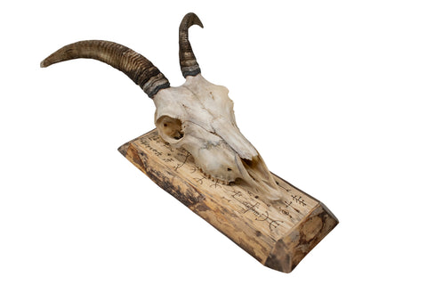 Image of Goat Skull Wall Hanger – Icelandic Magical Staves