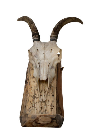 Image of Goat Skull Wall Hanger – Icelandic Magical Staves