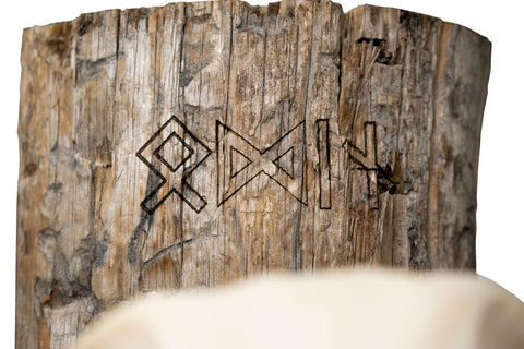 Image of Elk Skull Wall Hanger – Odin Invocation Bindrune