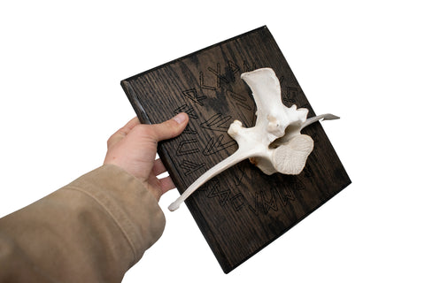 Image of Elk Vertebra on Oak – Connection to the gods Stave