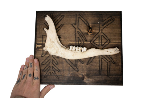 Image of Deer Jawbone Wall Hanger – Achievement, Endurance, and Prosperous Home bindrunes