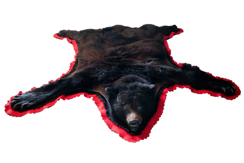 Image of black bear rug