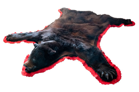 Image of black bear rug
