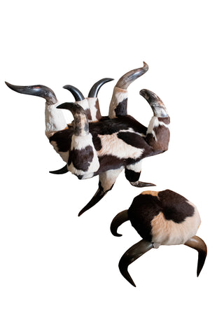 Image of Cow Horn Throne and Ottoman Set