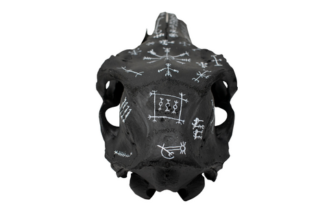 Image of blackened icelandic magical stave elk skull