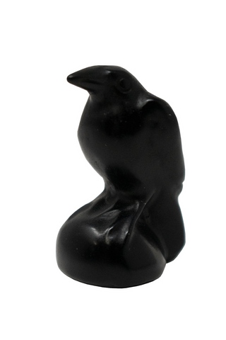 Image of obsidian raven